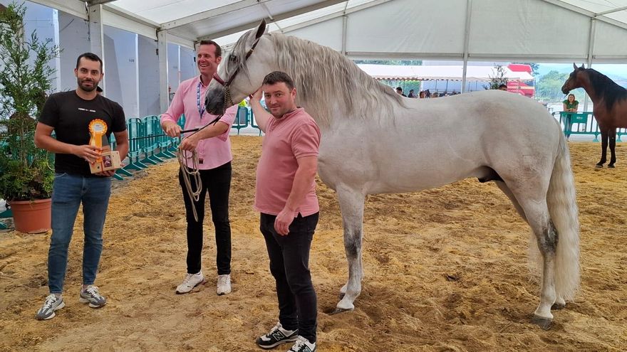 &quot;Ulises&quot; y &quot;Tonelera&quot;, los mejores caballos de pura raza española en el Concurso de Tineo