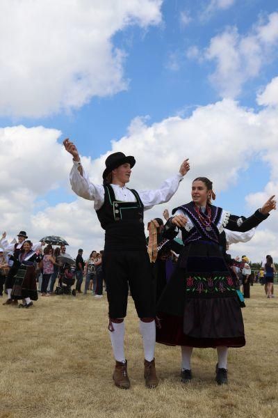 Feria de la Raza Sayaguesa en Bermillo