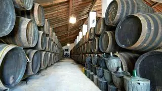 Una ruta de catas y mosto: la temporada de vinos en tres bodegas a solo 15 minutos de Sevilla