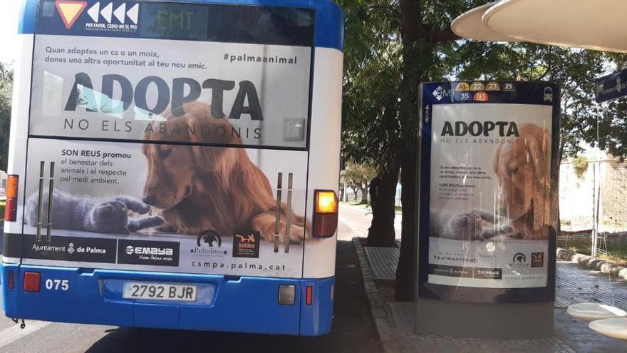 Imagende la campaña en un OPI y un autobús de la EMT