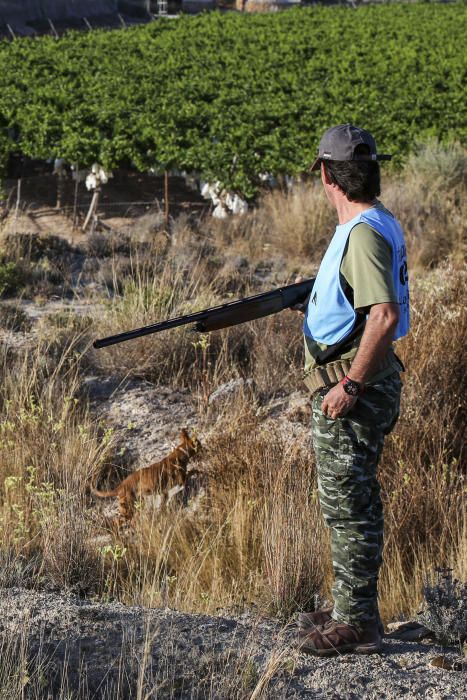 Diez mil cazadores inician la temporada de caza del conejo