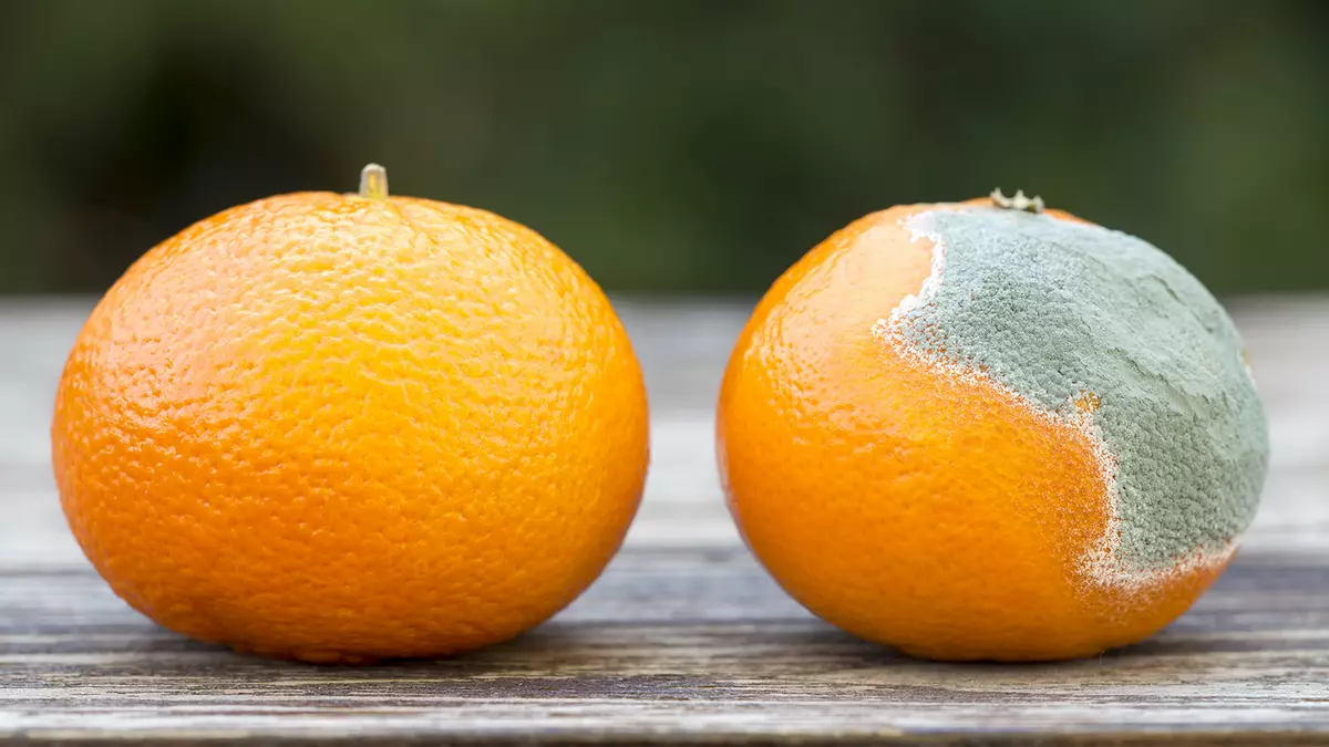 Los alimentos contaminados a veces aparecen en nuestra nevera y hay que quitarlos.