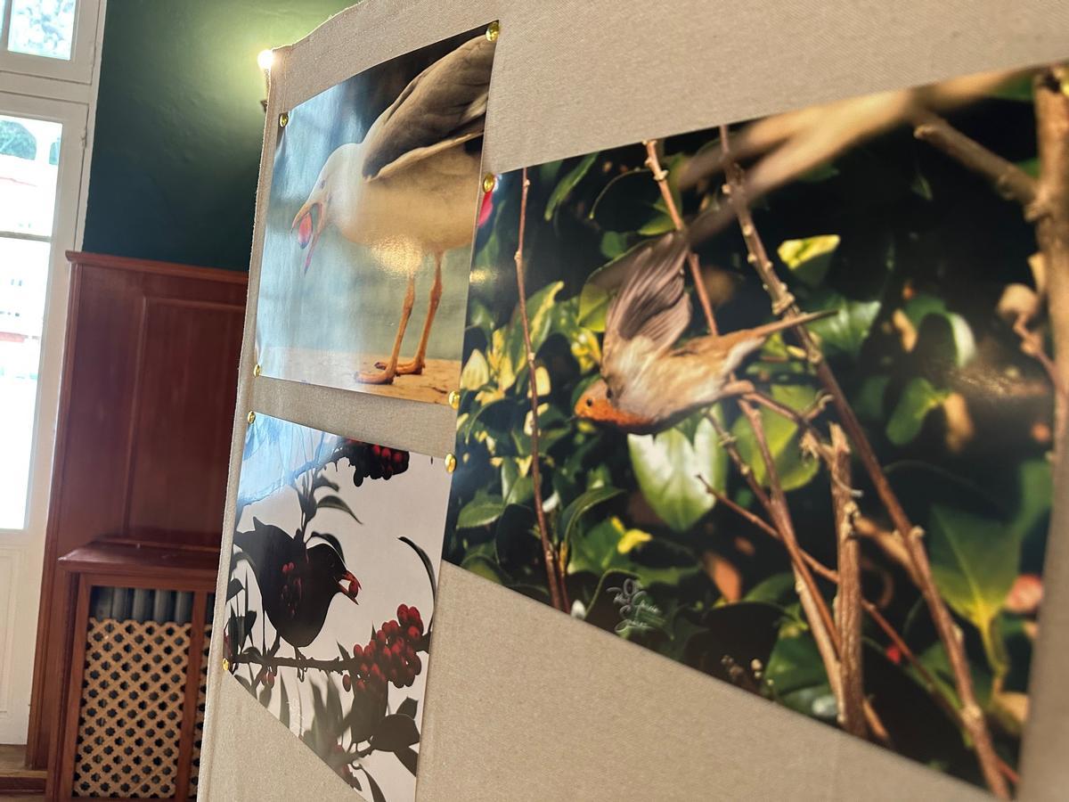 En imágenes: la exposición de fotografías de Raúl García, en Luarca