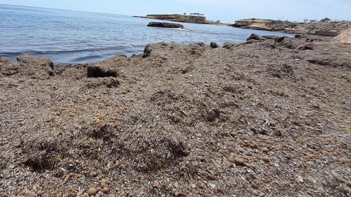 Otra imagen de la playa de l&#039;Almadrava