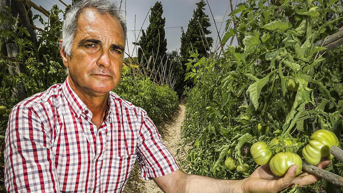 José Antonio Rico, presidente del Comité de Agricultura Ecológica de la Comunitat Valenciana