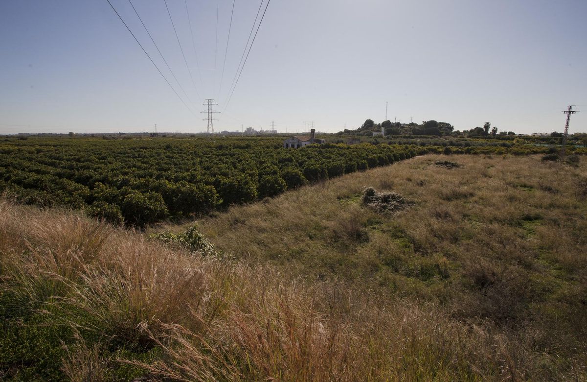 Terrenos previstos para la planta fotovoltaica de la gigafactoría.