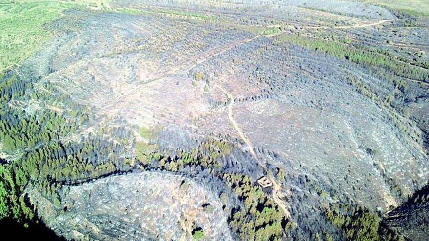 La DGA ya da por controlado el incendio forestal de Ejulve