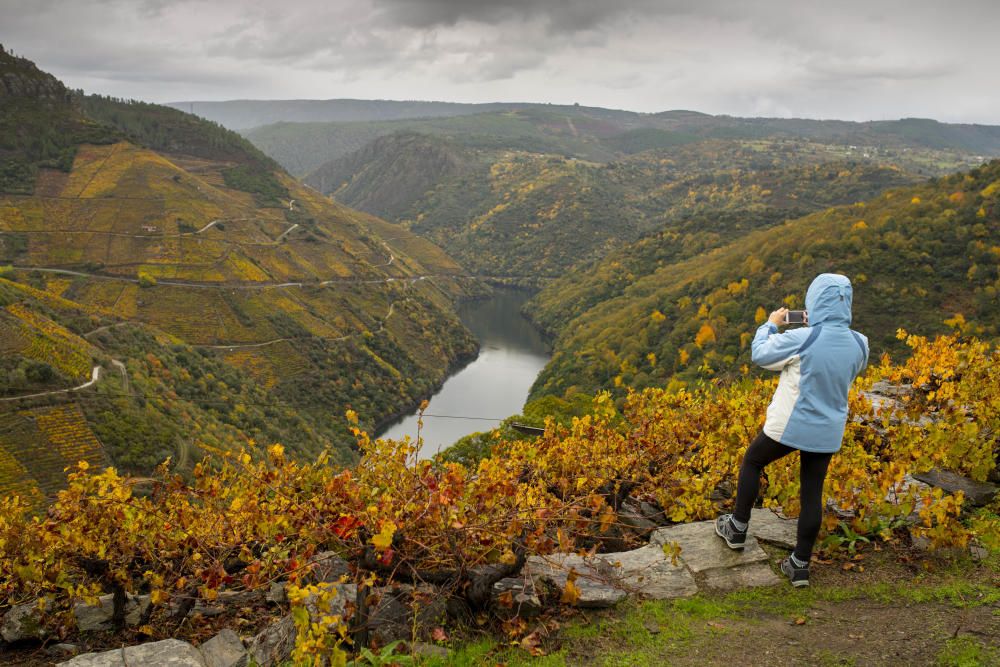 La Ribeira Sacra luce estos días unos hermosos colores otoñales // Brais Lorenzo