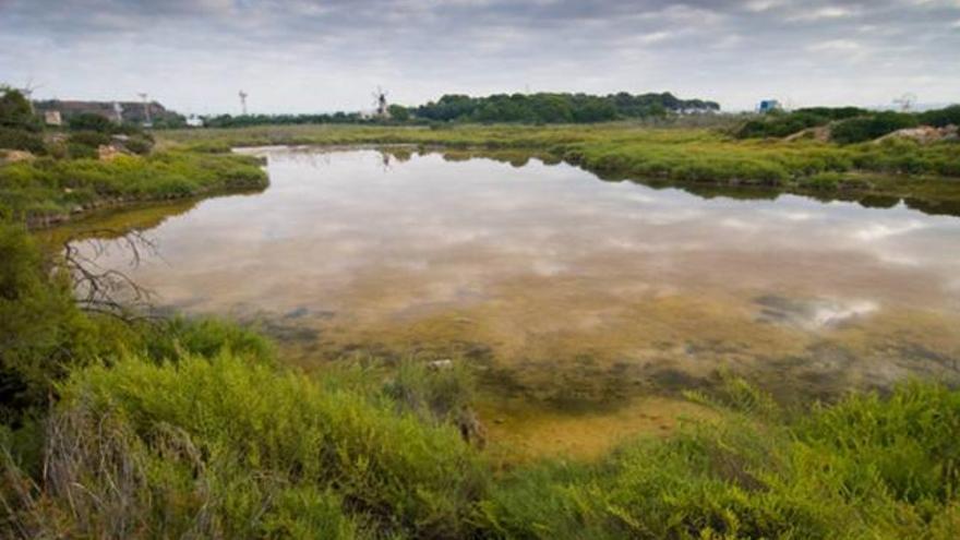 Imagen de una zona inundada de ses Fontanelles.