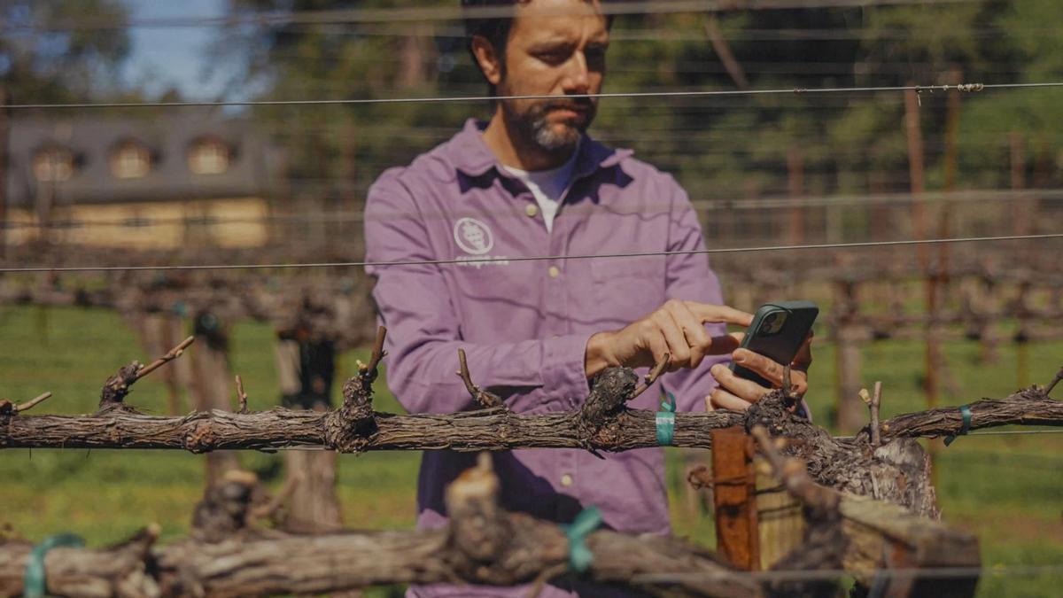 Startups de Estados Unidos, Francia y España en el Wine Innovation Summit en Almendralejo