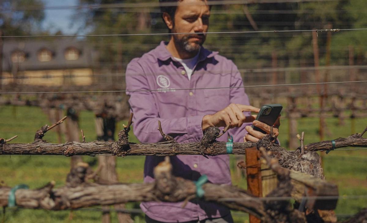 Un agricultor de Grape en un proyecto de digitalización a pie de campo