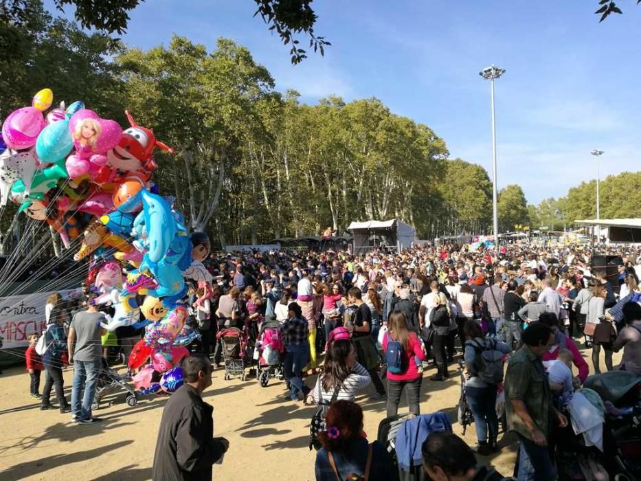 Concert d''El Pot Petit a la Copa