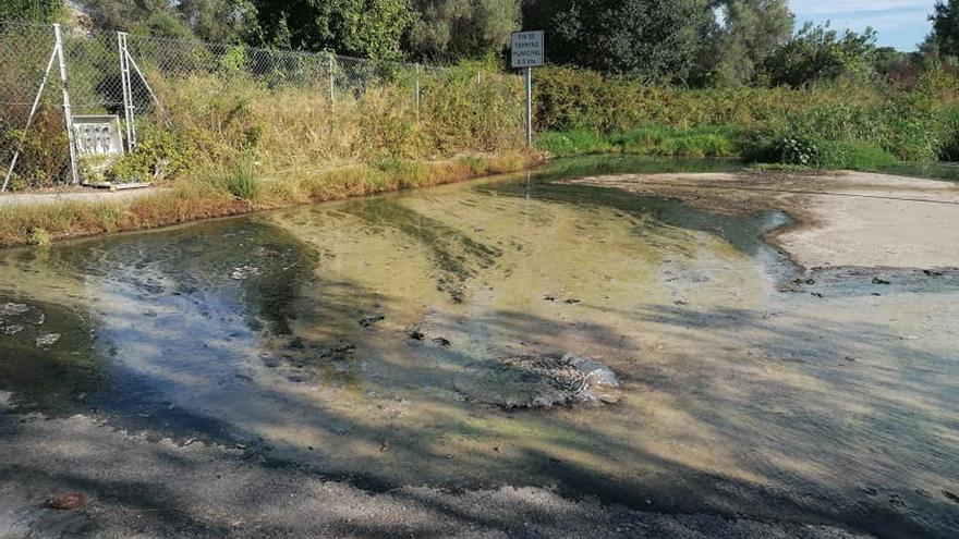 Las aguas residuales brotan en San Antonio de Benagéber