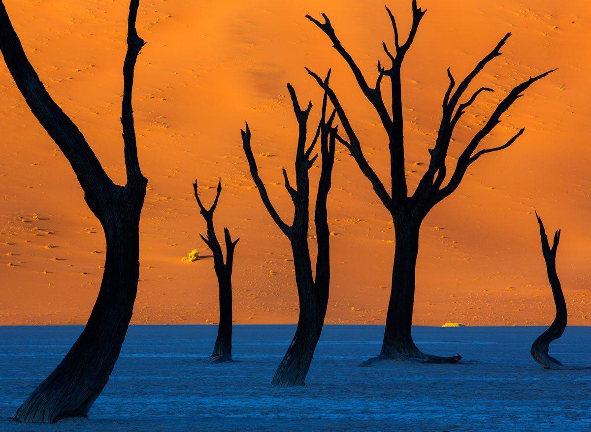 Desierto de Namibia