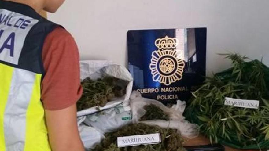 Una policía con la marihuana incautada en Villafranqueza.