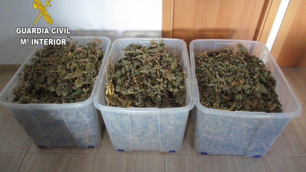 Oculta en Onda un cultivo ‘indoor’ de marihuana con 160 plantas