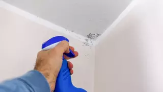 Este es el truco más económico y sostenible para eliminar las manchas de moho de la pared