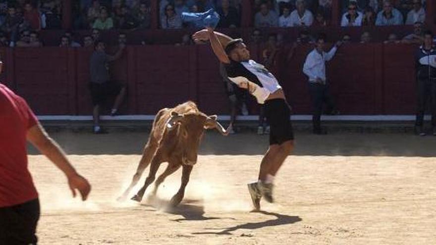 Carril de los toros