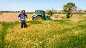 La sequía se ceba en el Canal dUrgell