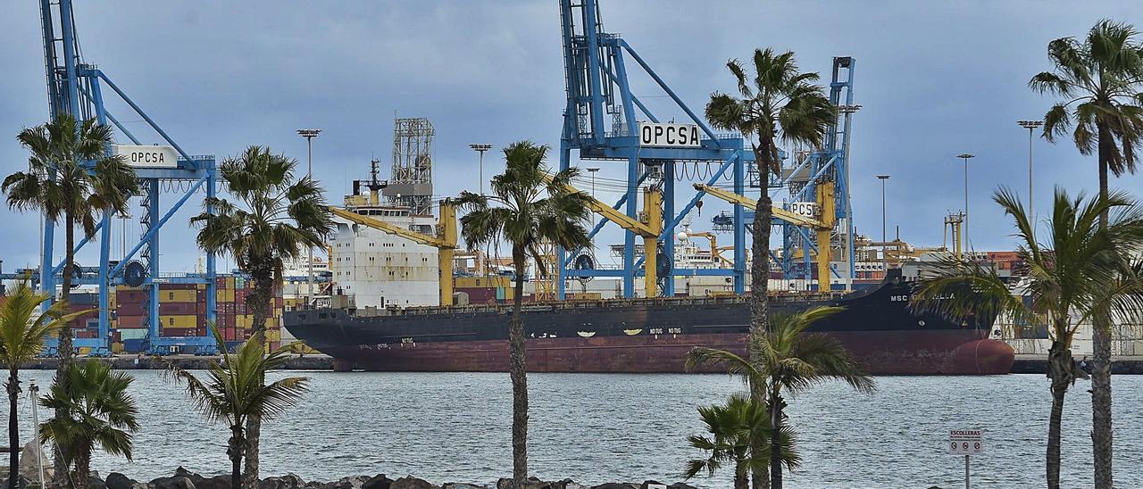 El portacontenedores ‘MSC Gabriella’, atracado ayer en la terminal de contenedores Opcsa del Puerto de Las Palmas. | | ANDRÉS CRUZ