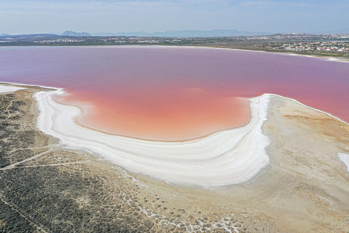 Las salinas de Torrevieja.