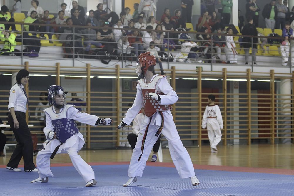 IV Open de Ibiza de taekwondo