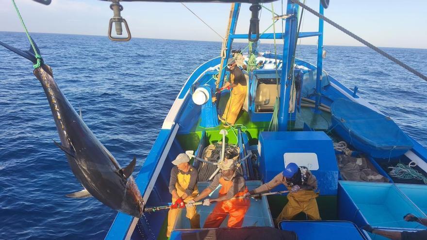 На Канарських островах стартував сезон вилову червоного тунця з обмеженими квотами