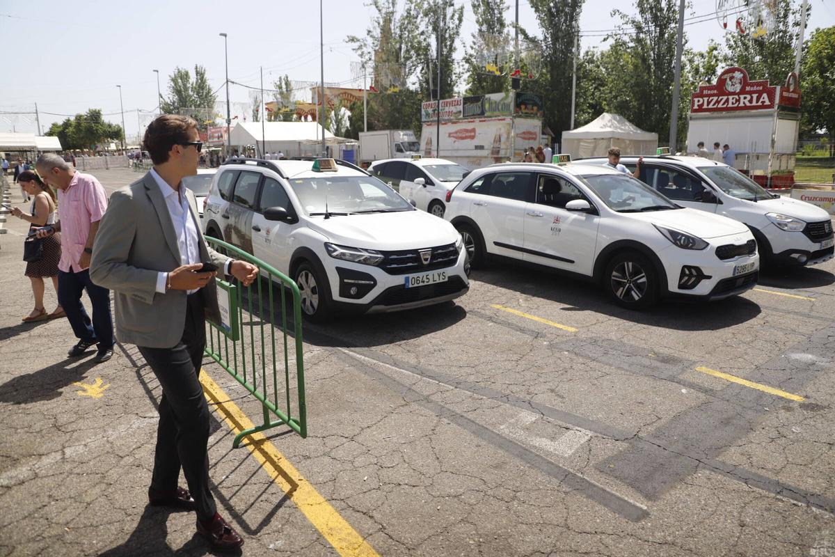 Feria , cordoba en mayo, buses y taxis, como ir a la feria