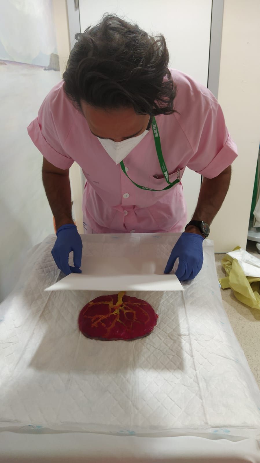 Arte que nace de la placenta en Ibiza