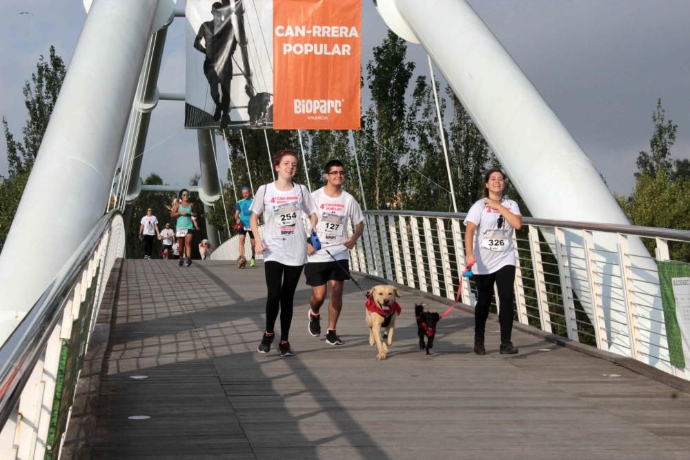 Los participantes en la cuarta Can-rrera.