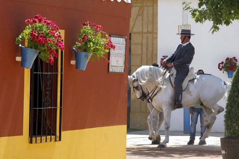 FOTOGALERÍA / LUNES DE FERIA EN EL ARENAL