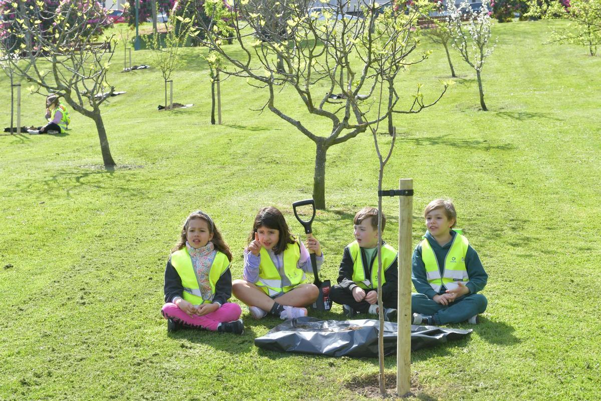 Alumnos del colegio Sal Lence plantaron 40 nuevos árboles en el parque de San Diego