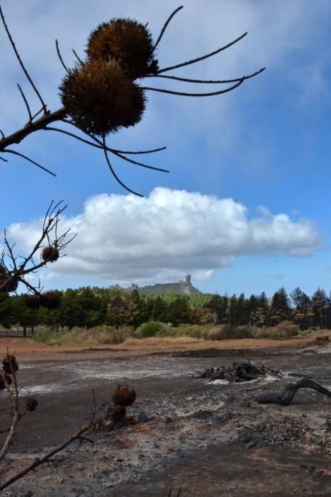 INCENDIO CUMBRE