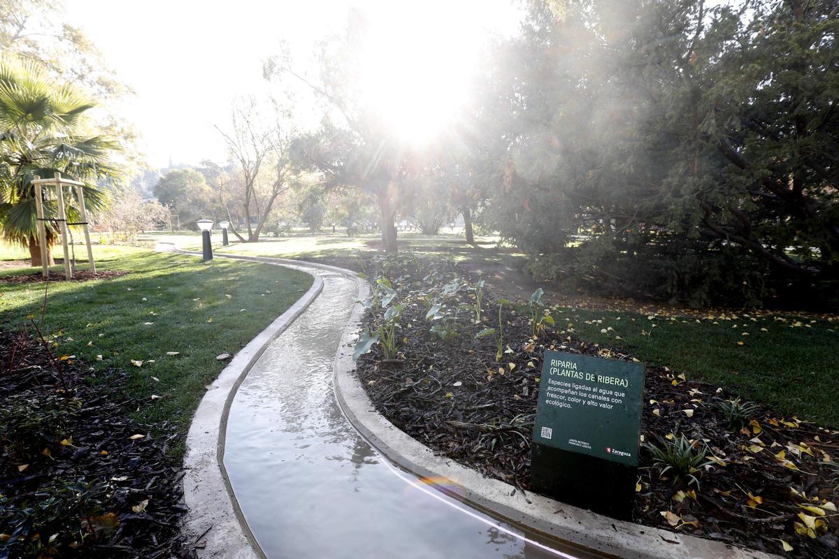Así son los nuevos cursos de agua que recorren el jardín botánico de Zaragoza.