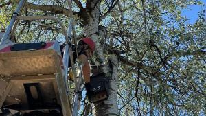 Imagen de la instalación de una de las cajas-refugio