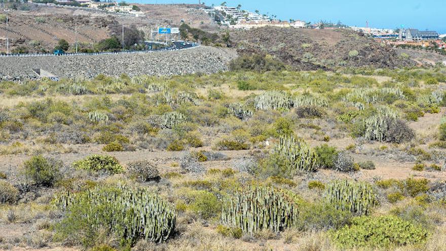 Parte del barranco de El Veril, en el sur de Gran Canaria, donde se quiere construir un parque acuático.