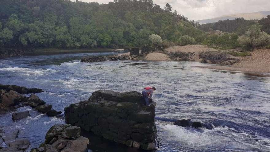 Pescadores de Arbo en las pesqueiras del Miño, ayer, tras la reapertura de la pesca tradicional. // D.P.