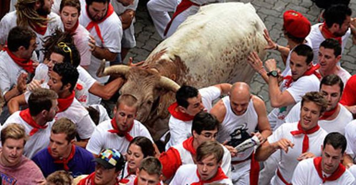 Corredors en el primer ’encierro’ de San Fermín, aquest dissabte. Corredors en el primer ’encierro’ de San Fermín, aquest dissabte.