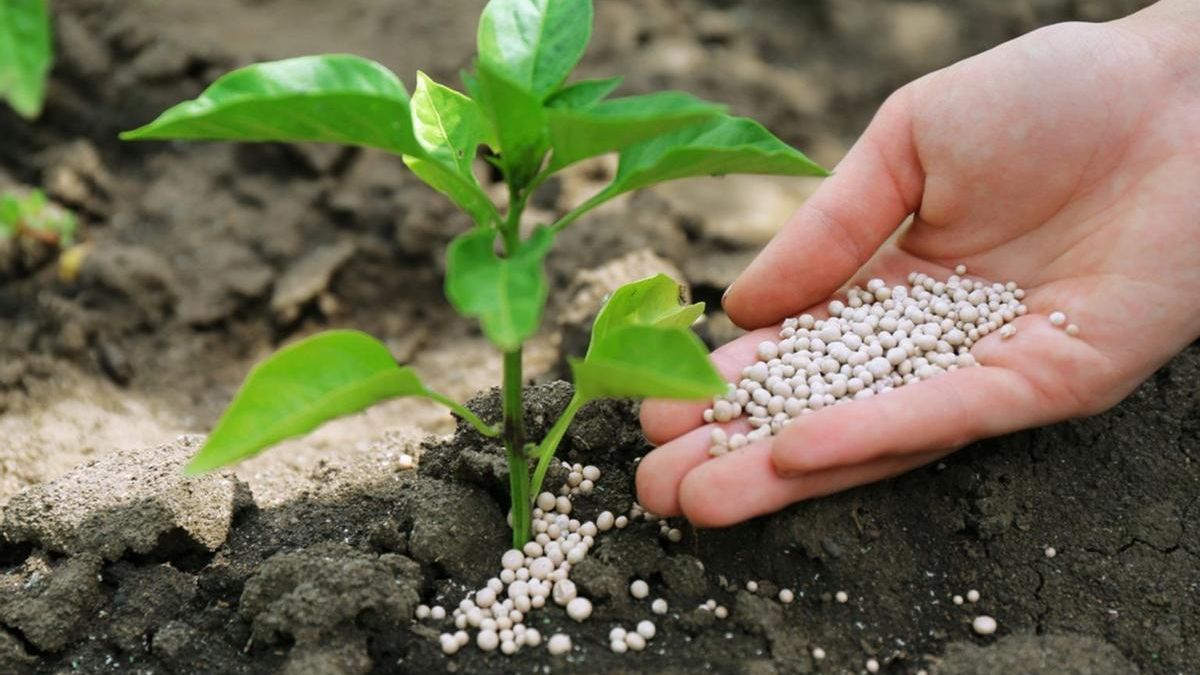 Imagen de un fertilizante agrícola.