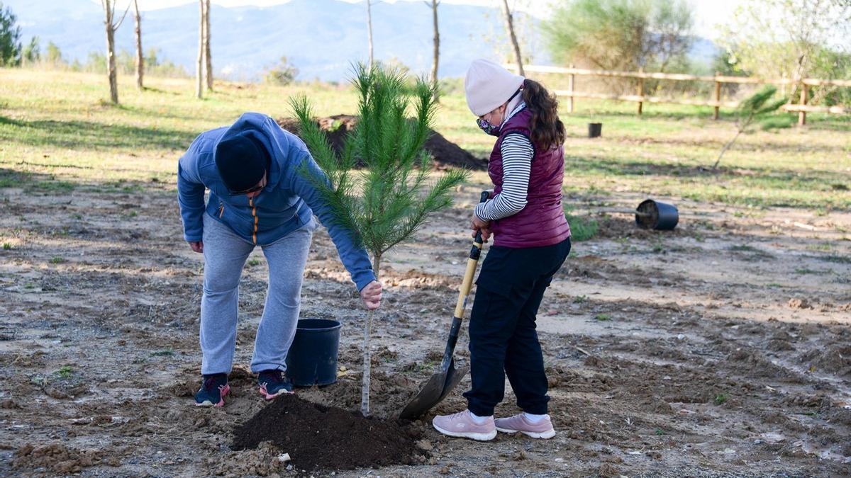 Dos vecinas de Rubí en la plantación de árboles del pasado año (2021)