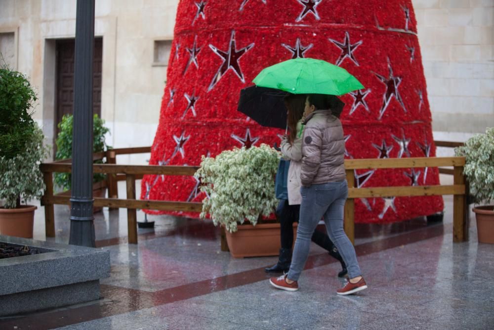 El viento provoca la caída de carteles y árboles en Elche