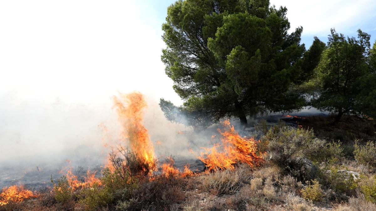 Las llamas avanzan en el terreno del incendio, antes de controlarse.