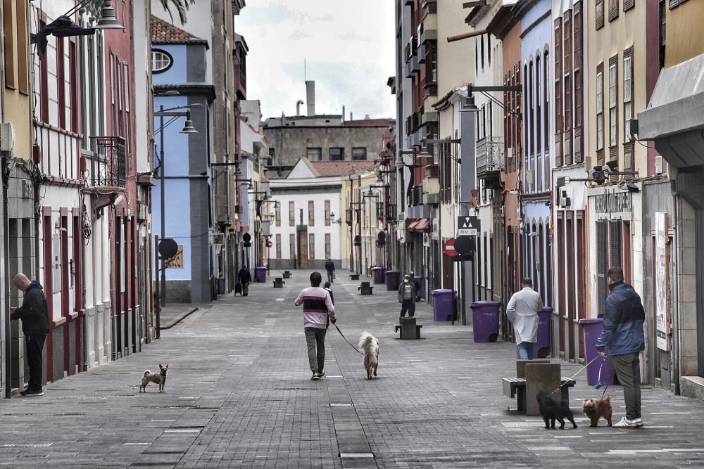 De paseo por La Laguna-Coronavirus 21/03/20  | 21/03/2020 | Fotógrafo: María Pisaca Gámez