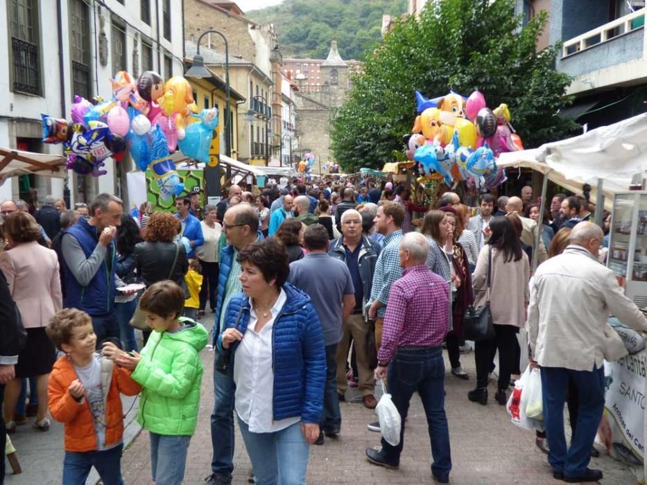 Fiesta de la vendimia en Cangas del Narcea