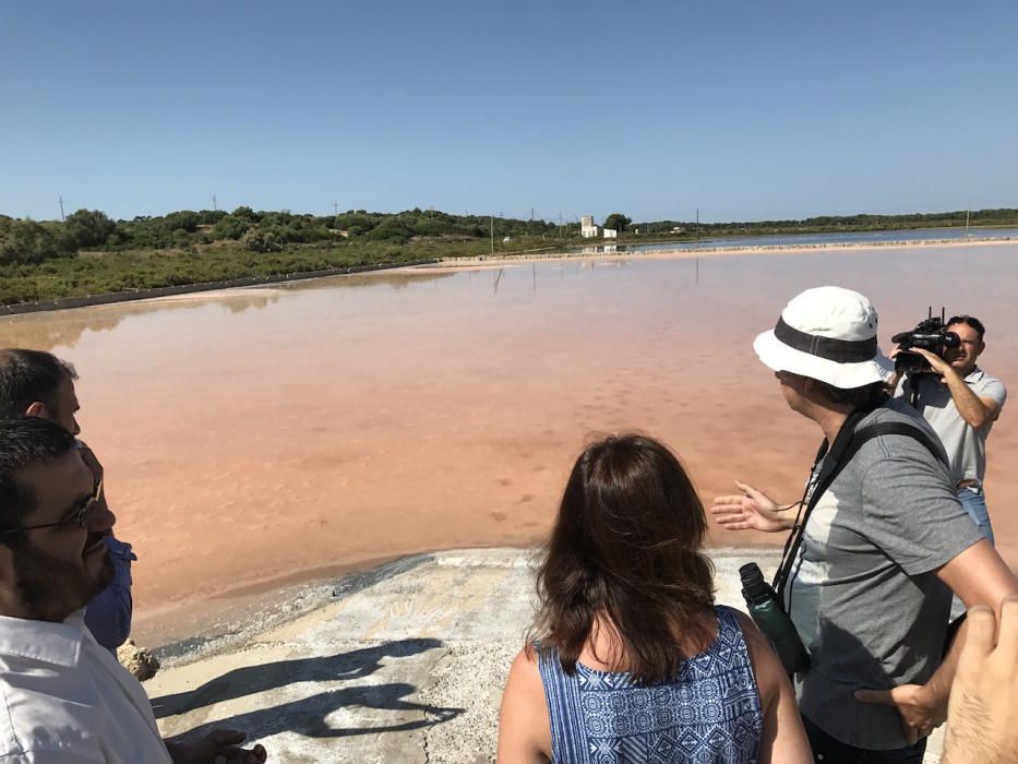 Naturschutzgebiet Es Trenc Mallorca