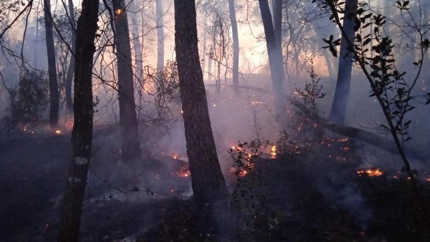 Incendi forestal a Brunyola