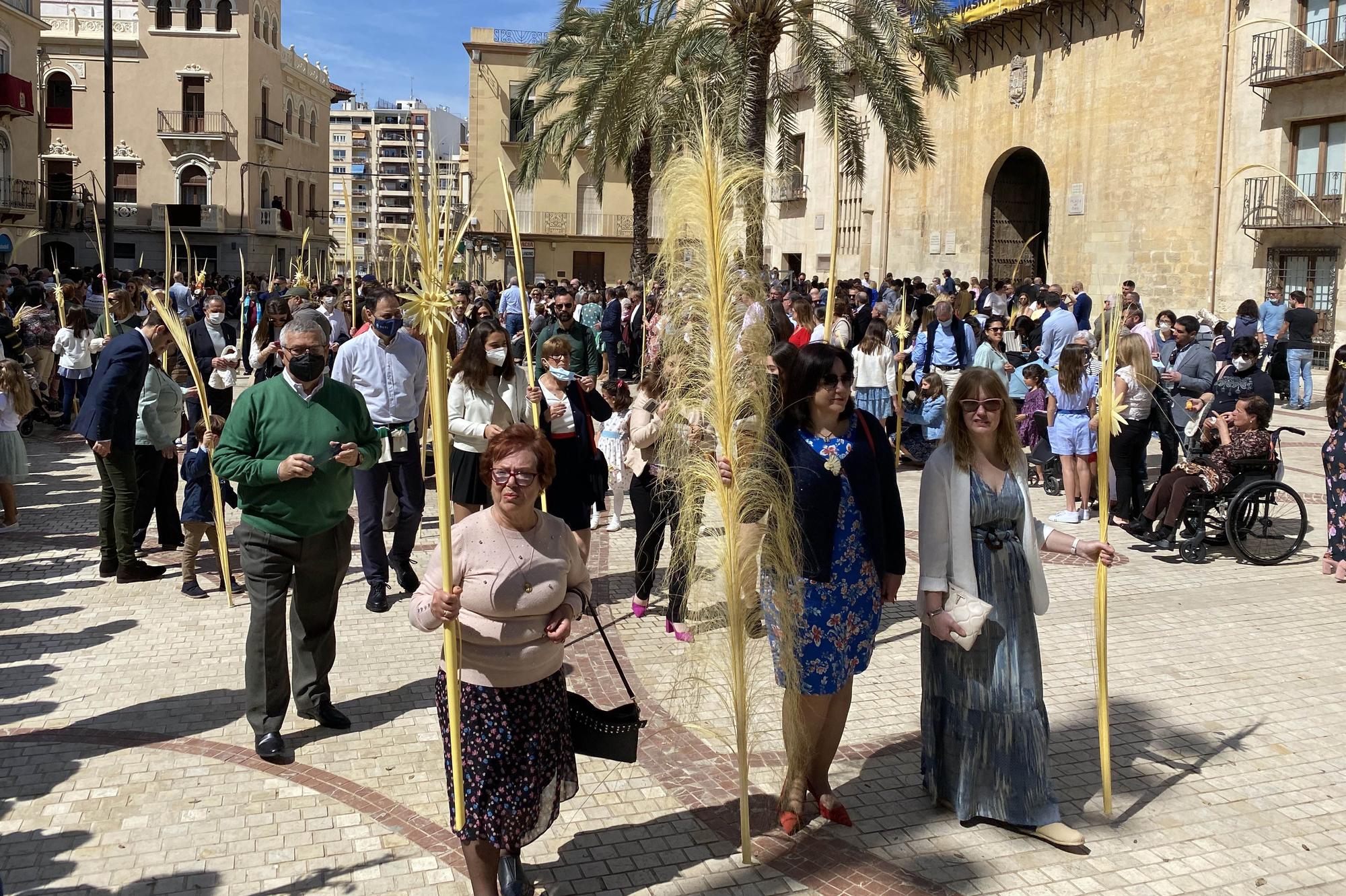 Domingo de Ramos en Elche