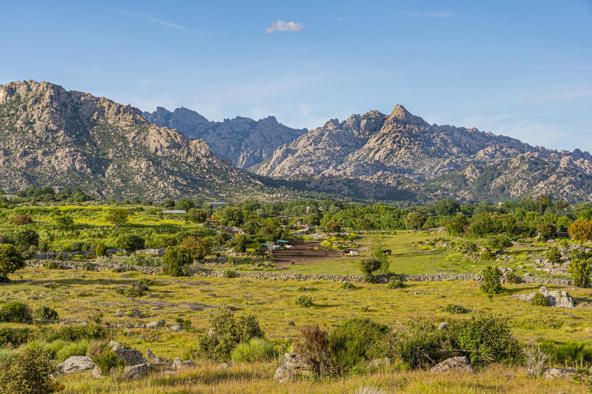 En medio del precioso entorno de la Sierra de Guadarrama