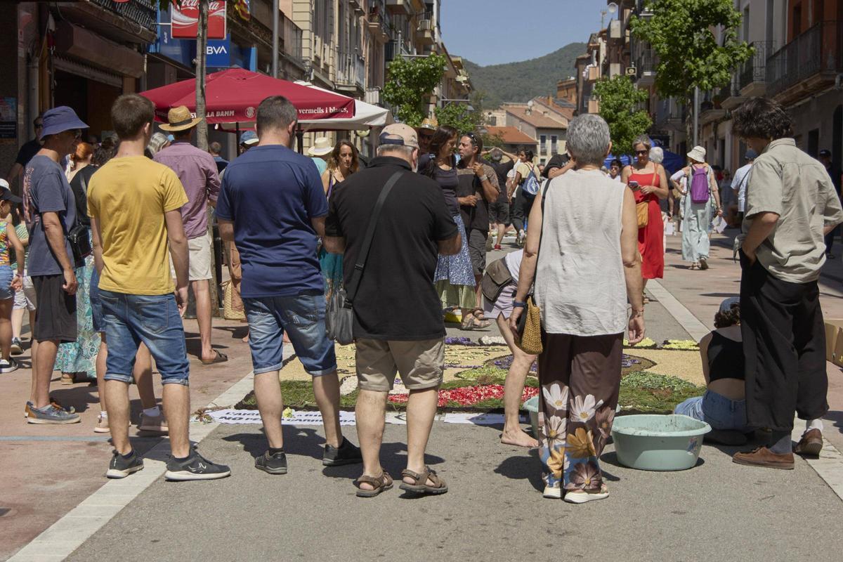 Les catifes d'Arbúcies en imatges