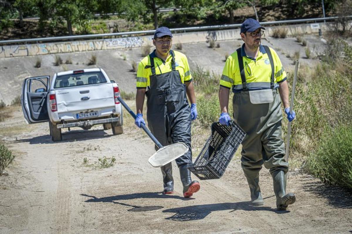 Besòs y depuradora de La Llagosta, que sigue sin funcionar a pleno rendimiento tras el vertido tóxico del sábado